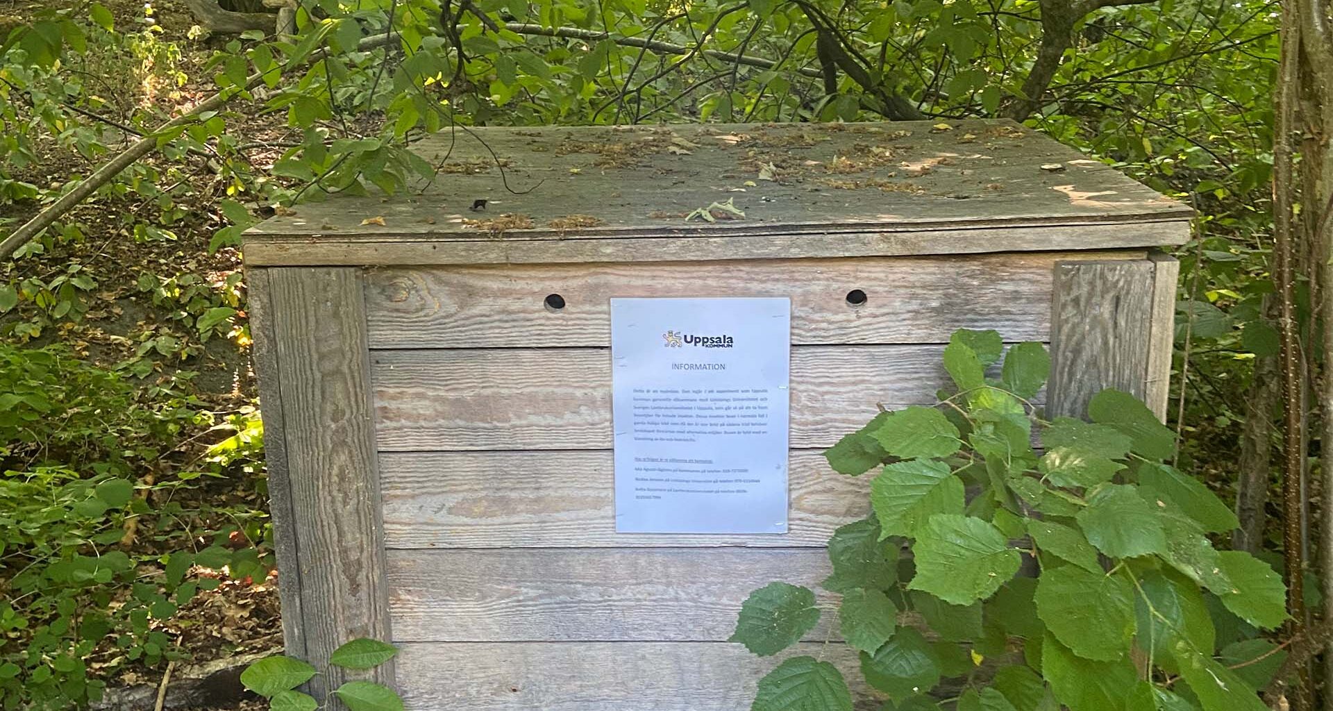 Trälåda, cirka en meter bred, med lufthål i naturen