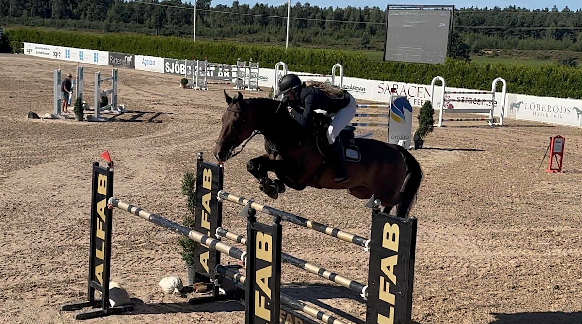 Petronella Green Wendt Och Chetaro R