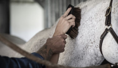 Forskning: Varannan kvinna i ny studie utsatt för sexuella trakasserier