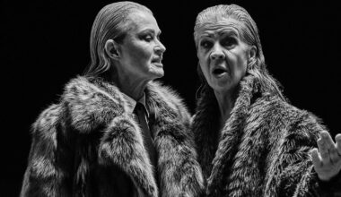 I bomullsfältens ensamhet