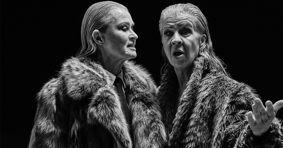 I bomullsfältens ensamhet