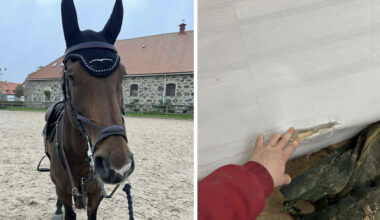 Häst avlivad efter olycka på SM: "Väldigt svårt att ta in"