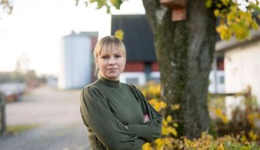 Minskad vargstam under vintern 2026