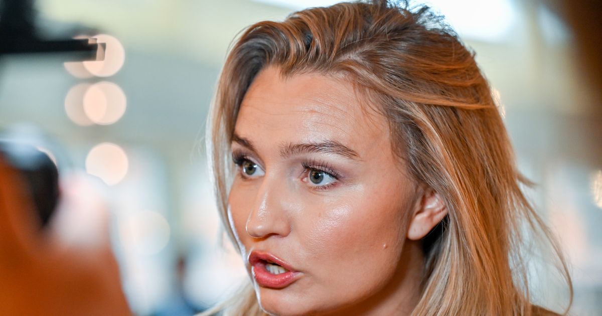 Busch: Inga särlösningar för Stegra