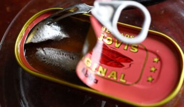 Brist på ansjovis i jul – ”begränsat”