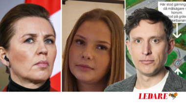 Sverige måste lära av Danmark om utvisningar