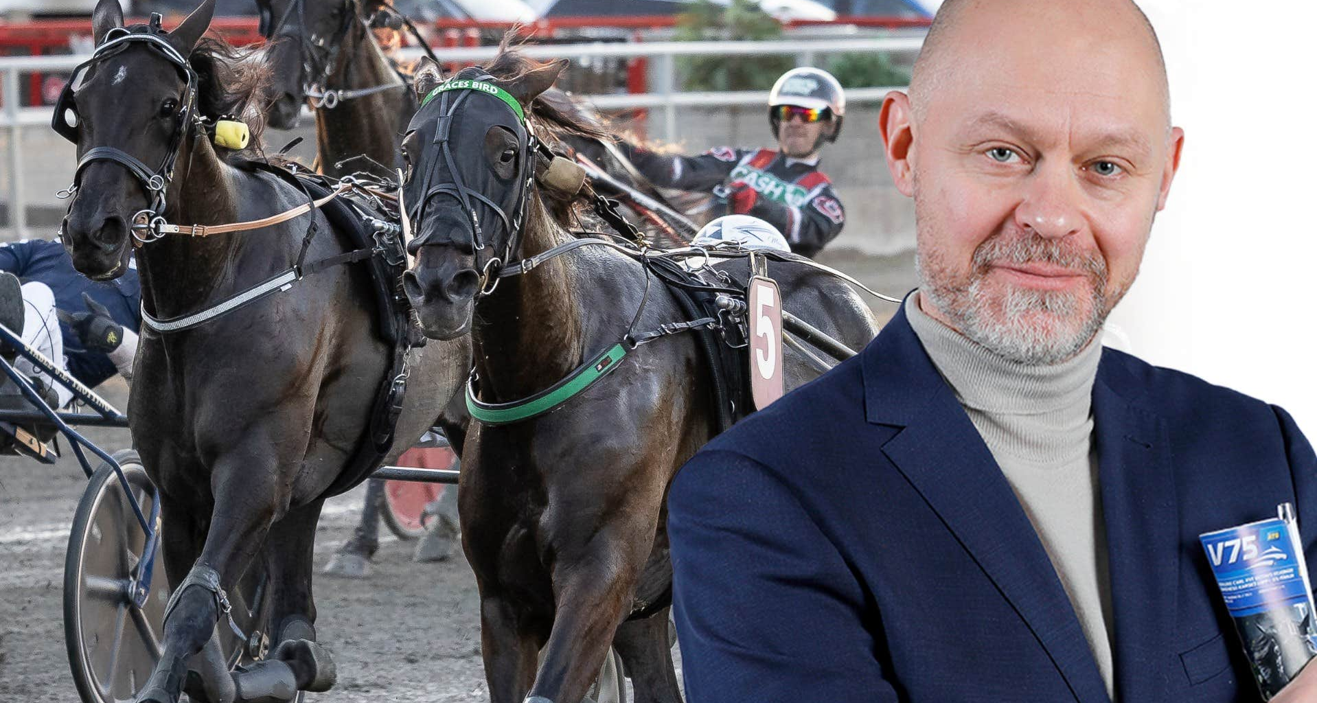 Här har ni hästen
som fixar miljoner | Trav