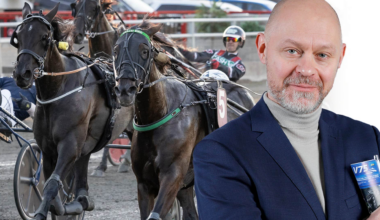 Här har ni hästen
som fixar miljoner | Trav