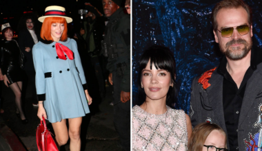 Lily Allens hån mot David Harbour och älskarinnan