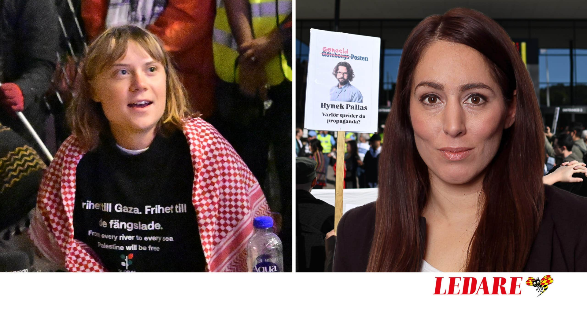 Gaza-aktivister eldar på
hoten mot journalister | Sofie Löwenmark