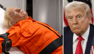 Kusliga konstverket av Donald Trump sålt till hemlig kändis