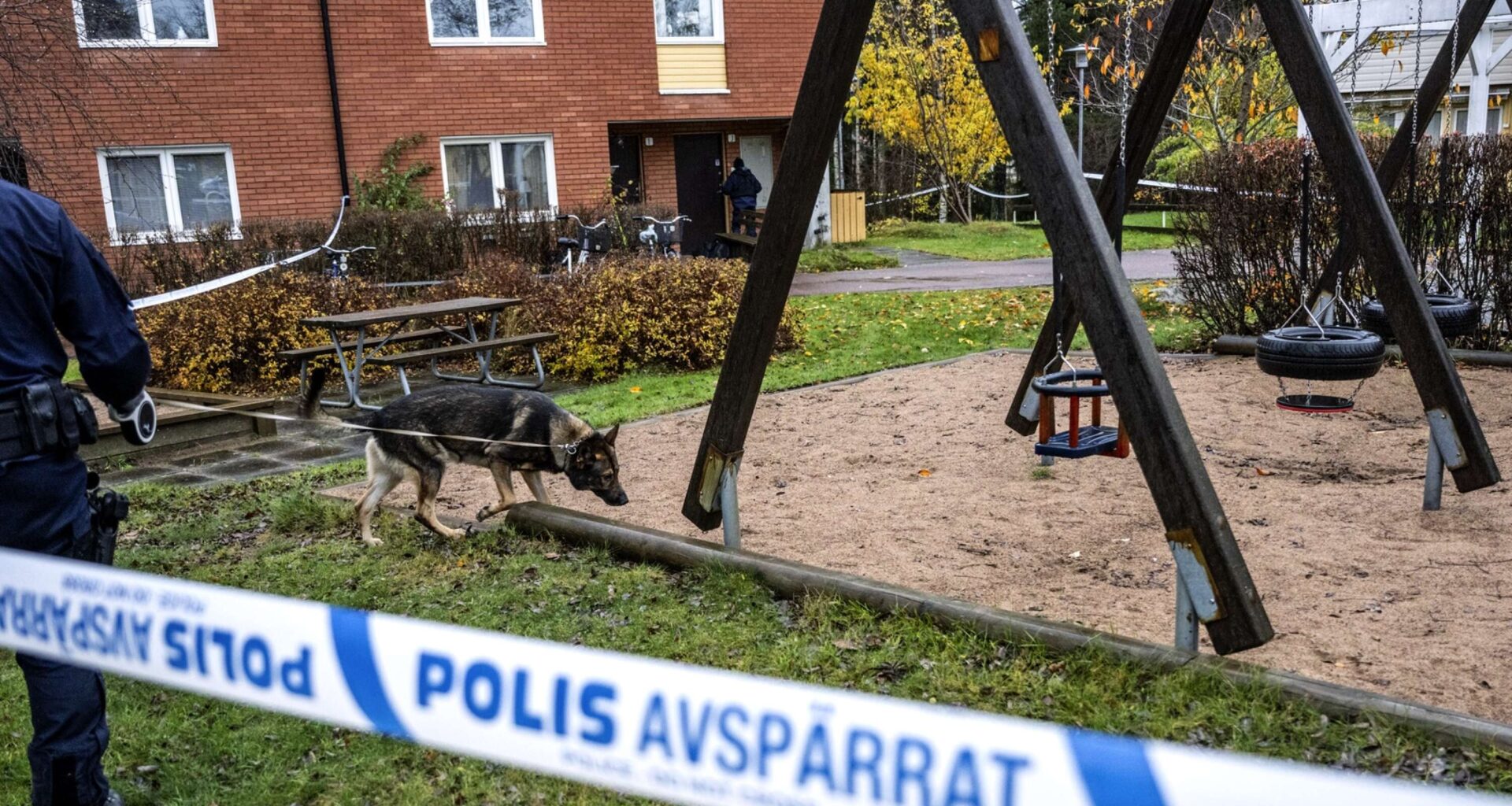 JUST NU: Tre skotthål i bostadsdörr – fortsatt stort pådrag på Kronoparken - VF