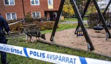 JUST NU: Tre skotthål i bostadsdörr – fortsatt stort pådrag på Kronoparken - VF