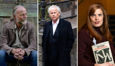 Därför är Lydia Sandgrens roman kriminell