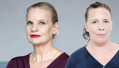 Recension av ”Författarinnan” av Christine Falkenland • Så bra är boken