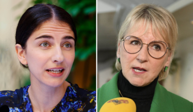 Kritiken mot Margot Wallström – efter orden om Romina Pourmokhtari