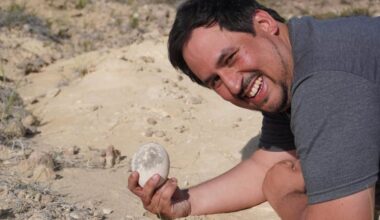 Forskare hittar 70 miljoner år gammalt dinosaurieägg