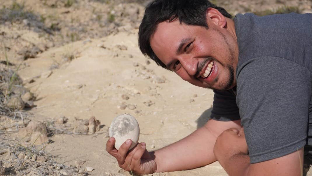 Forskare hittar 70 miljoner år gammalt dinosaurieägg