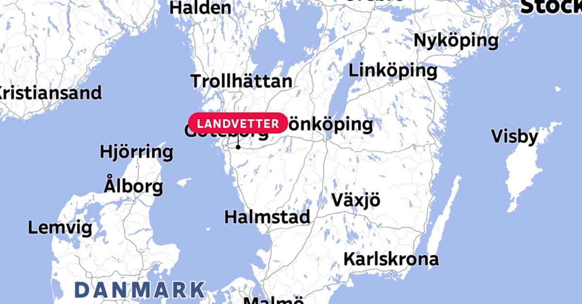 Larm om drönare vid Landvetters flygplats i Sverige | Utrikes