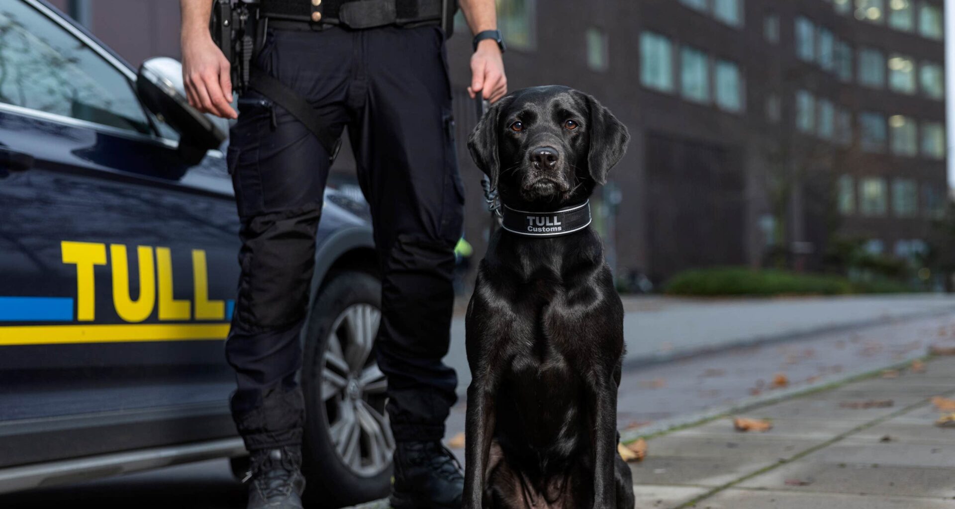 Fanny nosade upp knark för hundratals miljoner | Sverige