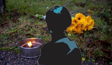 Försökte skydda mördade mamman i Västerås: ”Polisen svek”