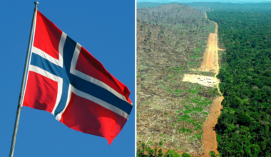 Norge mångmiljardsatsar för att rädda regnskogen i Brasilien