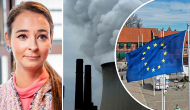 s ansvar att lösa globalt problem