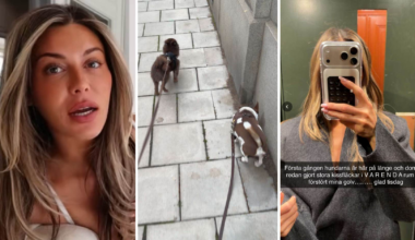 Bianca Ingrossos bakslag med lyxlägenheten: Alla golv förstörda