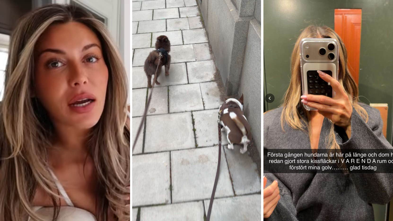 Bianca Ingrossos bakslag med lyxlägenheten: Alla golv förstörda