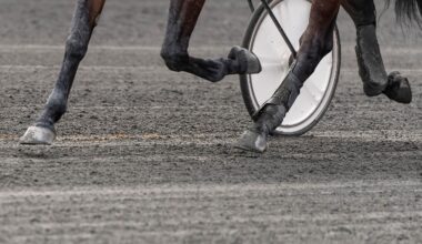 Stängs av i sex månader | Trav