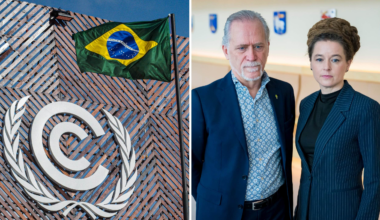 DEBATT: Tidöpartiernas politik
liknar självskadebeteende