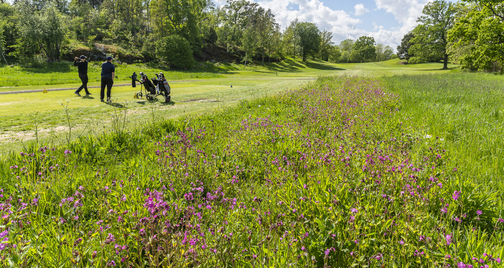 Konkurrensverket granskar följderna | Idrottens Affärer