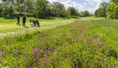 Konkurrensverket granskar följderna | Idrottens Affärer