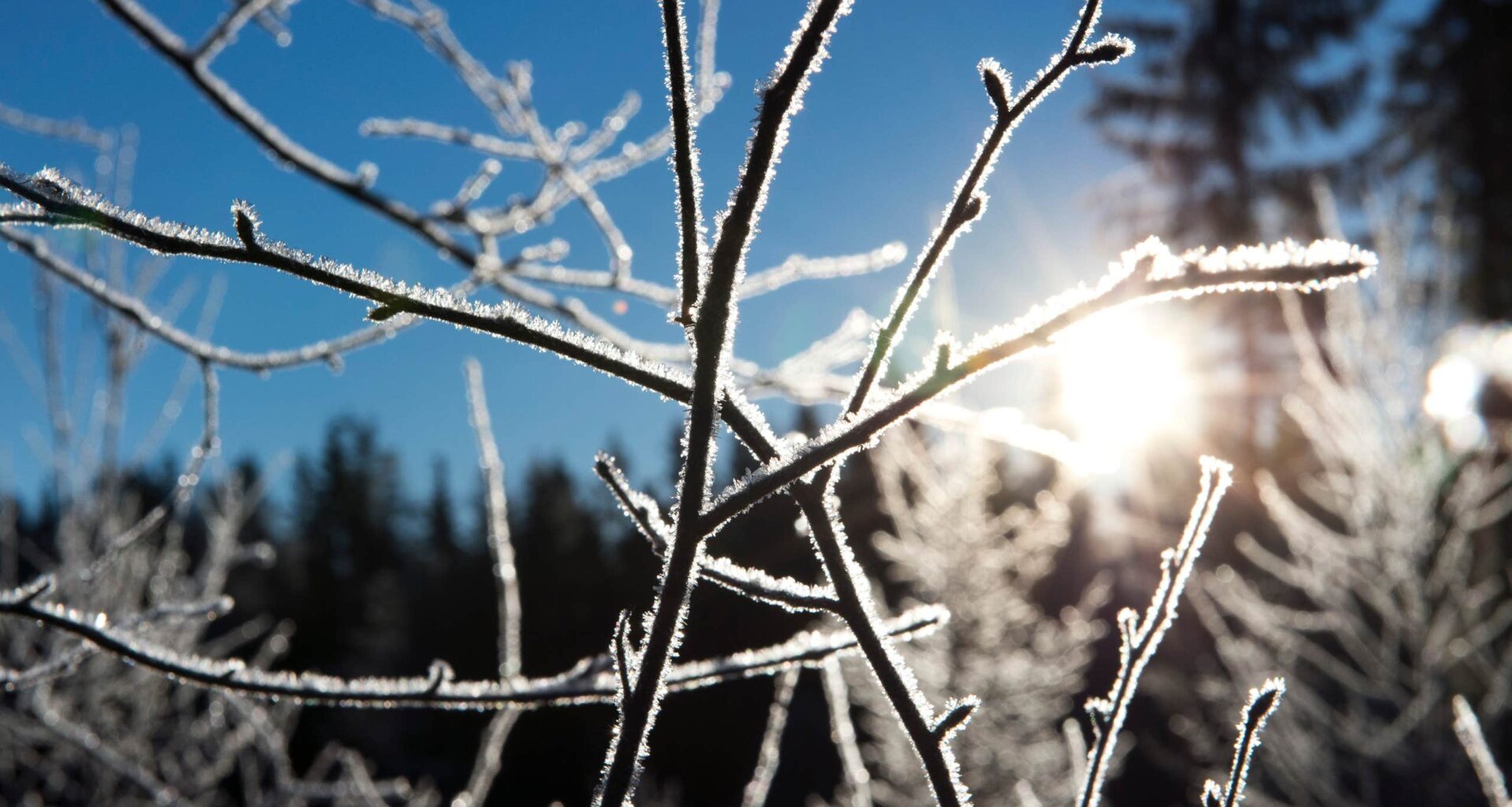 Soligt men kallt väder väntar i helgen, enligt SMHI.