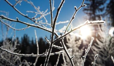 Soligt men kallt väder väntar i helgen, enligt SMHI.