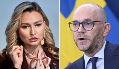 Britz (L) om avskaffat karensavdrag: ”Ett misstag”