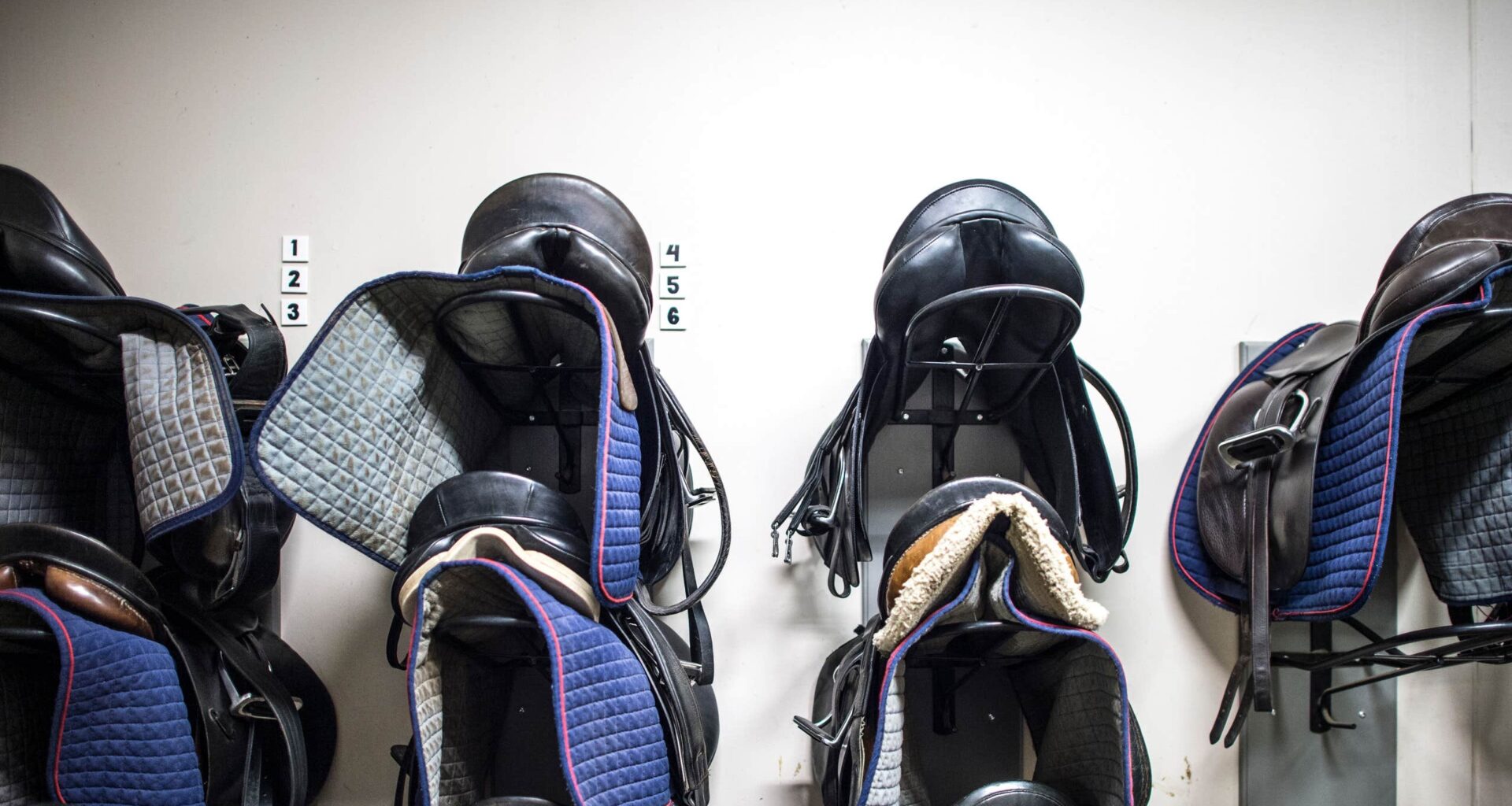 Ny våg av sadelstölder – polisen varnar | Sverige