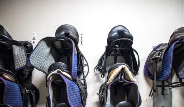 Ny våg av sadelstölder – polisen varnar | Sverige