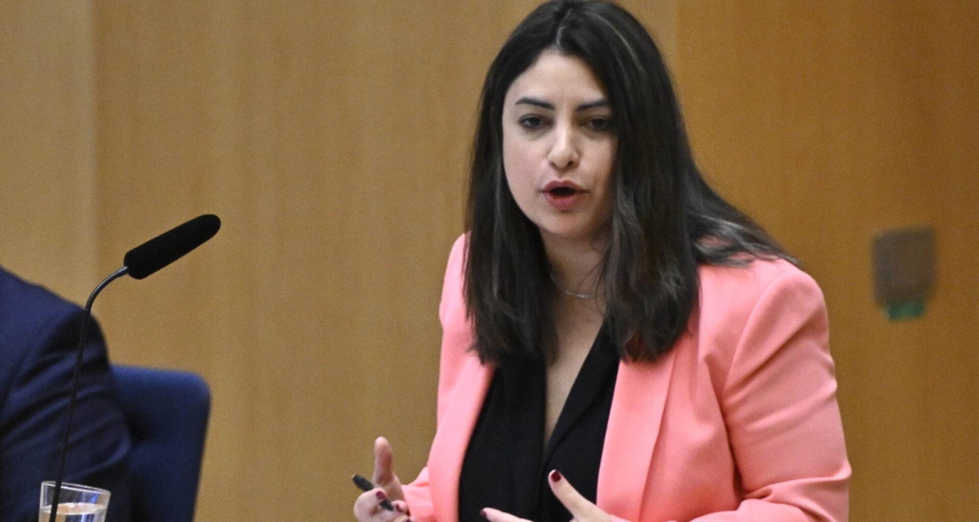 Vänsterpartiets regeringskrav: Då röstar vi nej