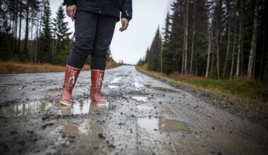 Skatteverket förvärrar jämtländska potthål  – Östersunds-Posten