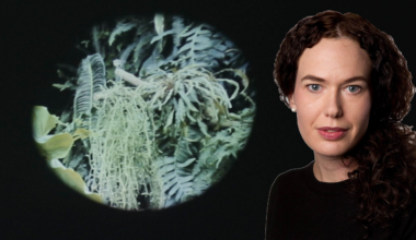 Är det ett organ eller en kärnkraftsolycka?