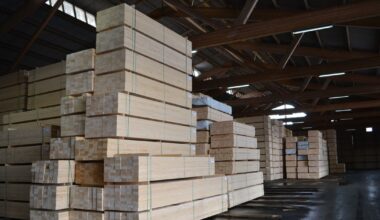 EU-länderna vill ge längre respit från Avskogningsförordningen även för stora bolag