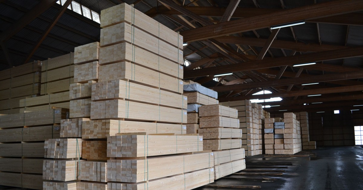 EU-länderna vill ge längre respit från Avskogningsförordningen även för stora bolag