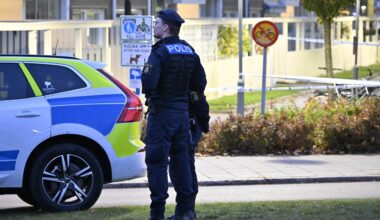 Sköt småbarnspappa till döds i Lindängen i Malmö – döms till fängelse