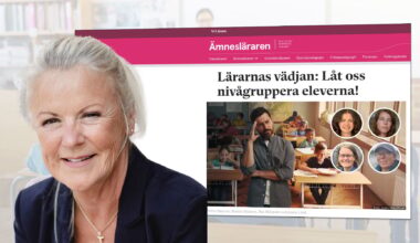 Professorns krav: Nivågruppera eleverna i engelska