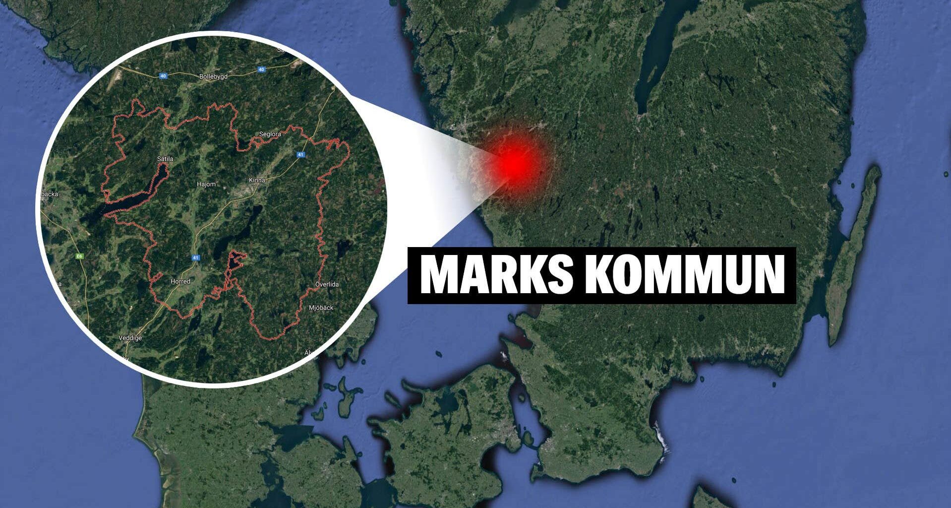 Alpackor i Marks kommun dödades inte av varg