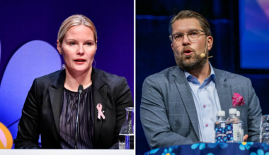 SD-toppen Marianne Sandström lämnar partiet