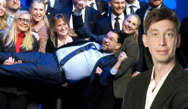 SD – inte ett parti för tjejer med små bröst