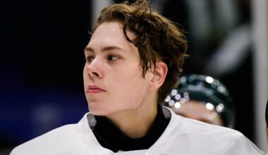 Karlskoga lånar Måns Goos från Färjestad