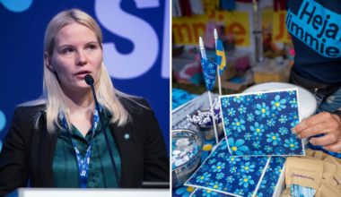 Därför stod jag inte ut i Sverigedemokraterna